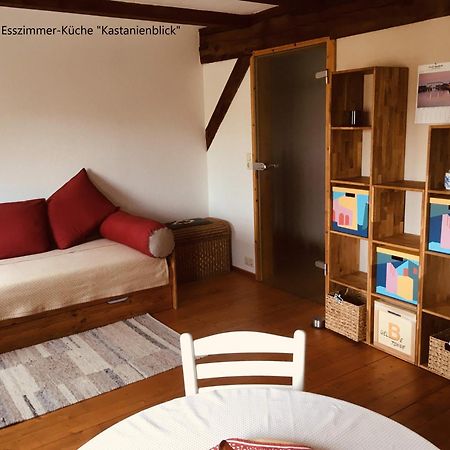 Ferienwohnung Kastanienblick Oder Parkblick, Oder Unser Radlerzimmer! Ziethen  Eksteriør billede