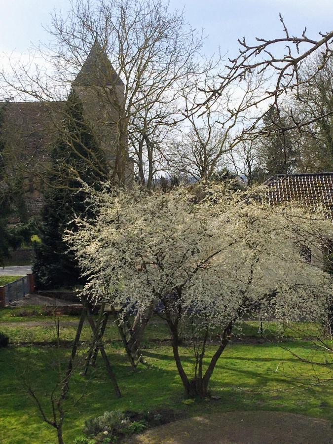 Ferienwohnung Kastanienblick Oder Parkblick, Oder Unser Radlerzimmer! Ziethen  Eksteriør billede