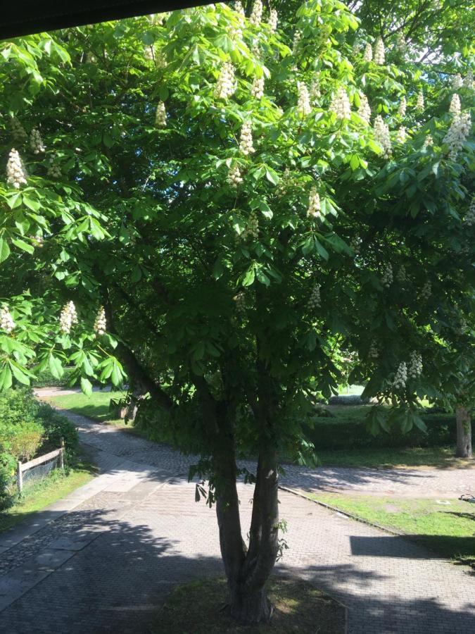 Ferienwohnung Kastanienblick Oder Parkblick, Oder Unser Radlerzimmer! Ziethen  Eksteriør billede