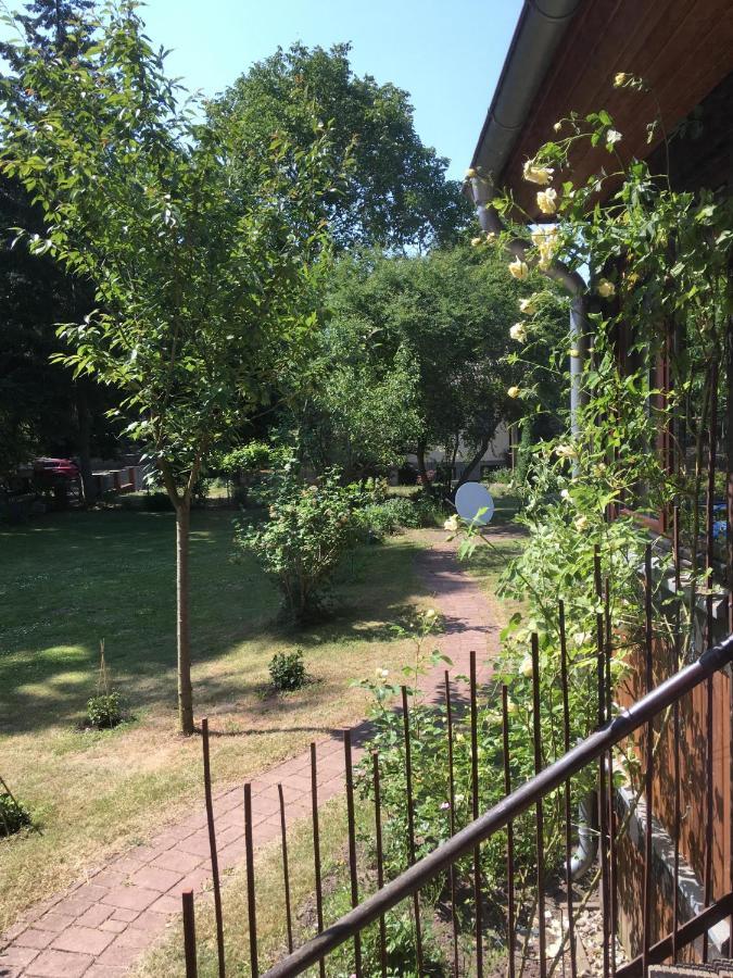 Ferienwohnung Kastanienblick Oder Parkblick, Oder Unser Radlerzimmer! Ziethen  Eksteriør billede
