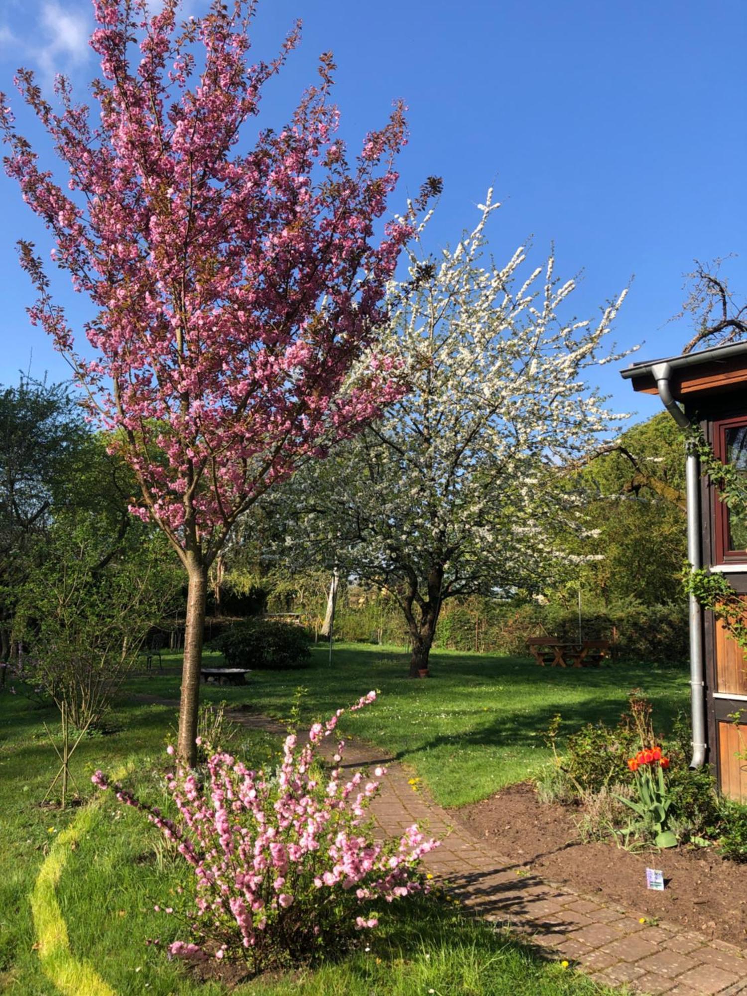 Ferienwohnung Kastanienblick Oder Parkblick, Oder Unser Radlerzimmer! Ziethen  Eksteriør billede
